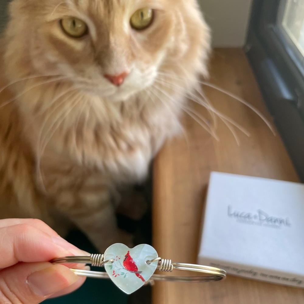 Luca + Danni Cardinal bangle bracelet